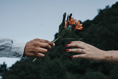 Image for Byte titled 'What is reciprocity bias? How does it affect personal relationships?'