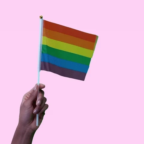 An LGBTQ+ rainbow flag waving over a pink background.
