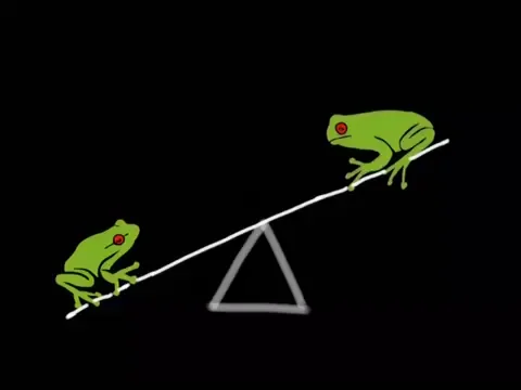 Two frogs balancing on a seesaw.