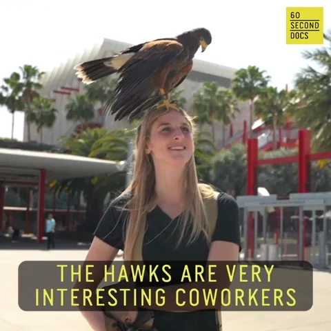 A woman with a hawk on her head. She says, 'The hawks are very interesting coworkers.'