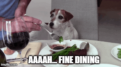 A dog sits at a table to be fed a luxury meal. The text reads: 