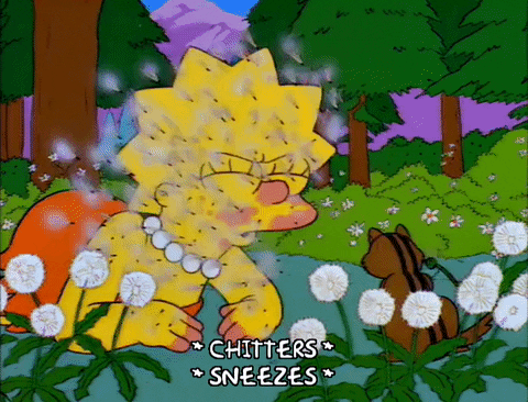 Lisa Simpson sneezes
