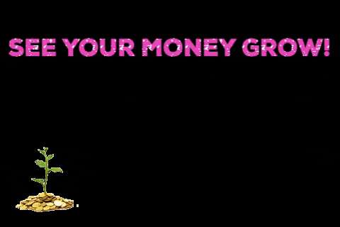Seedlings growing into a plant.  The words See Your Money Grow