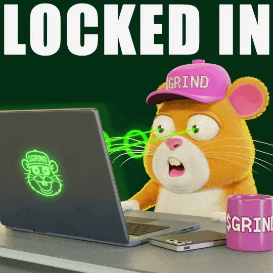 a hamster being hyperfocused