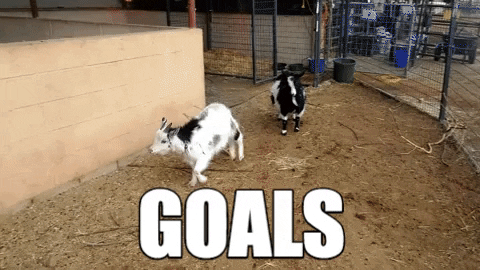Goat jumping up onto a ledge and a caption that says 'GOALS'