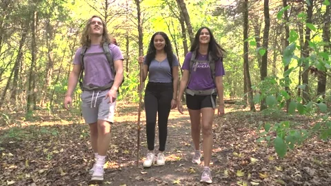 A group of three young people hiking and pointing at things in nature.
