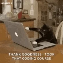 GIF: Black cat with white paws furiously types on a laptop with text: 