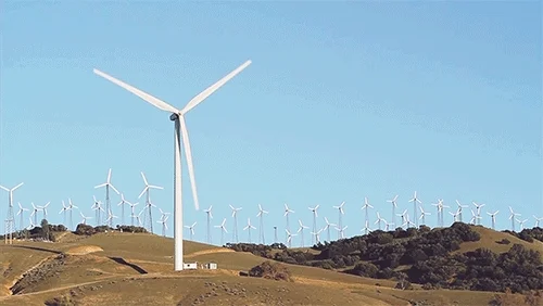 A series of wind turbines on a hill.