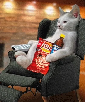 A cat sitting on couch, eating junk food.