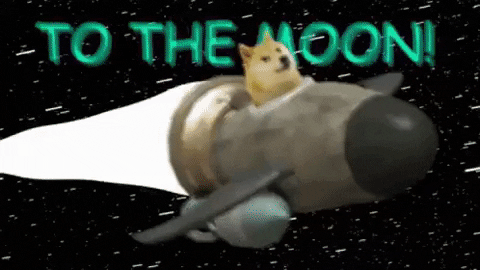 A dog (Shiba Inu) is travelling to the moon.