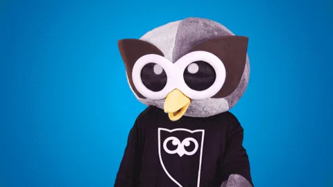 Rumie Owl searching with magnifying glass
