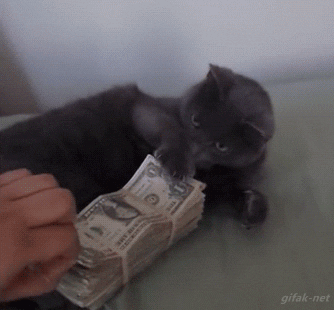 A kitten clawing at someone trying to take his money.  