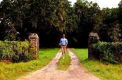 Forest Gump running down a road.