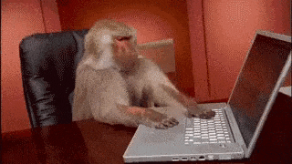 A monkey typing on a laptop & getting frustrated.