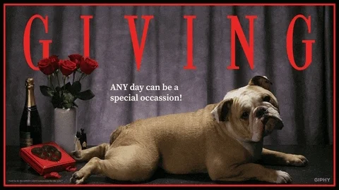 A dog poses in front of flowers, chocolate, and champagne. The text reads: 