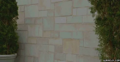 A person bumping into a brick wall.