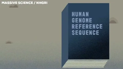 A GIF animation image of a blueprint book opening, showing DNA letters A, C, T, G while those letters dance above it.
