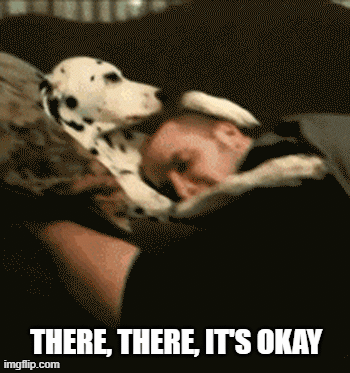 A dalmation hugs its owner. The text reads: 