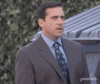 Michael Scott from The Office says, 'I understand nothing!'