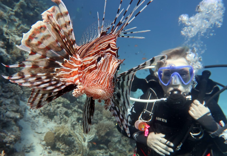 Scuba diver with lionfish