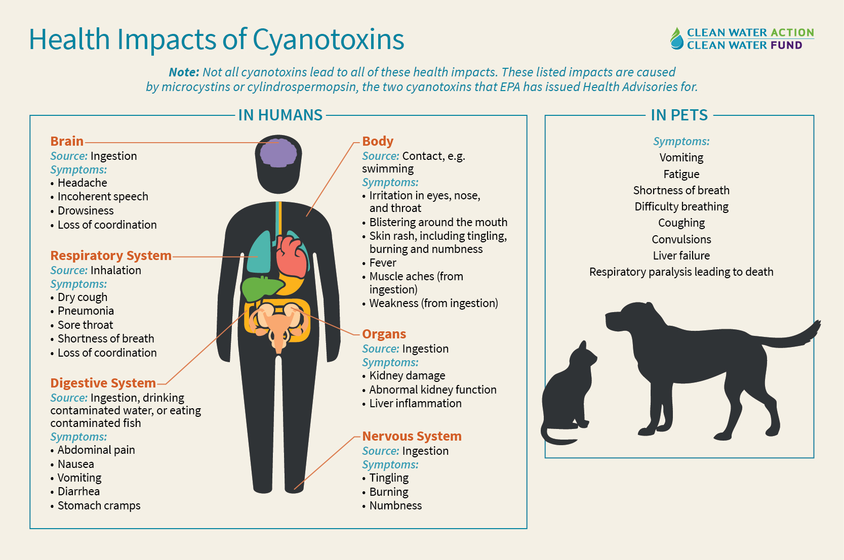 Health Impacts of Cyanotoxins.