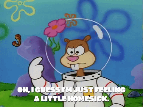 Sandy Cheeks from SpongeBob SquarePants speaking. Overlaid text reads, 'Oh, I guess I'm just feeling a little homesick.