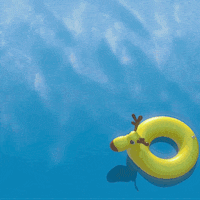 Olaf the snowman floating happily in the water passing a yellow reindeer floatie.