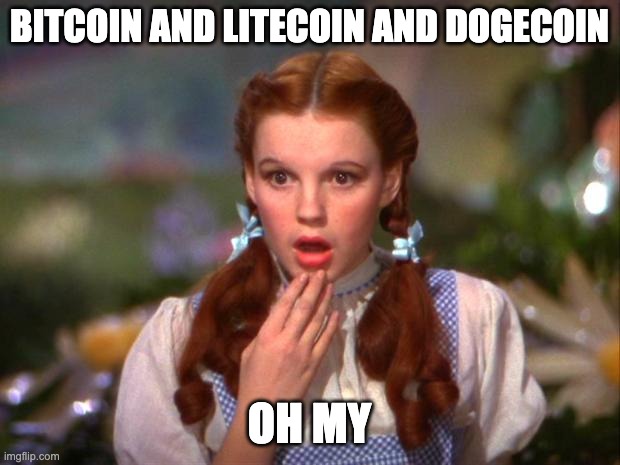 dorothy overwhelmed by crypto jargon