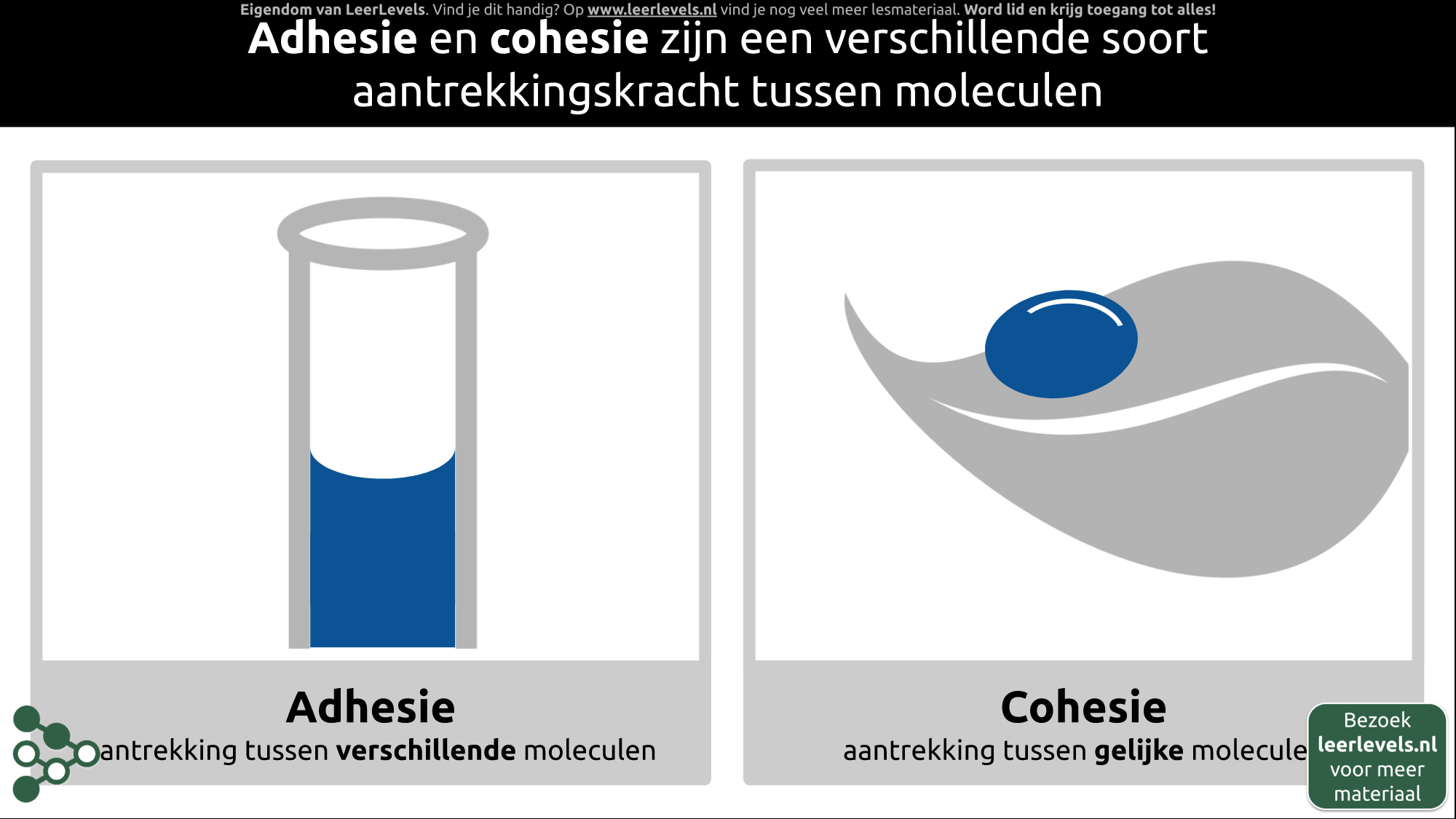 Afbeelding voor Adhesie en cohesie