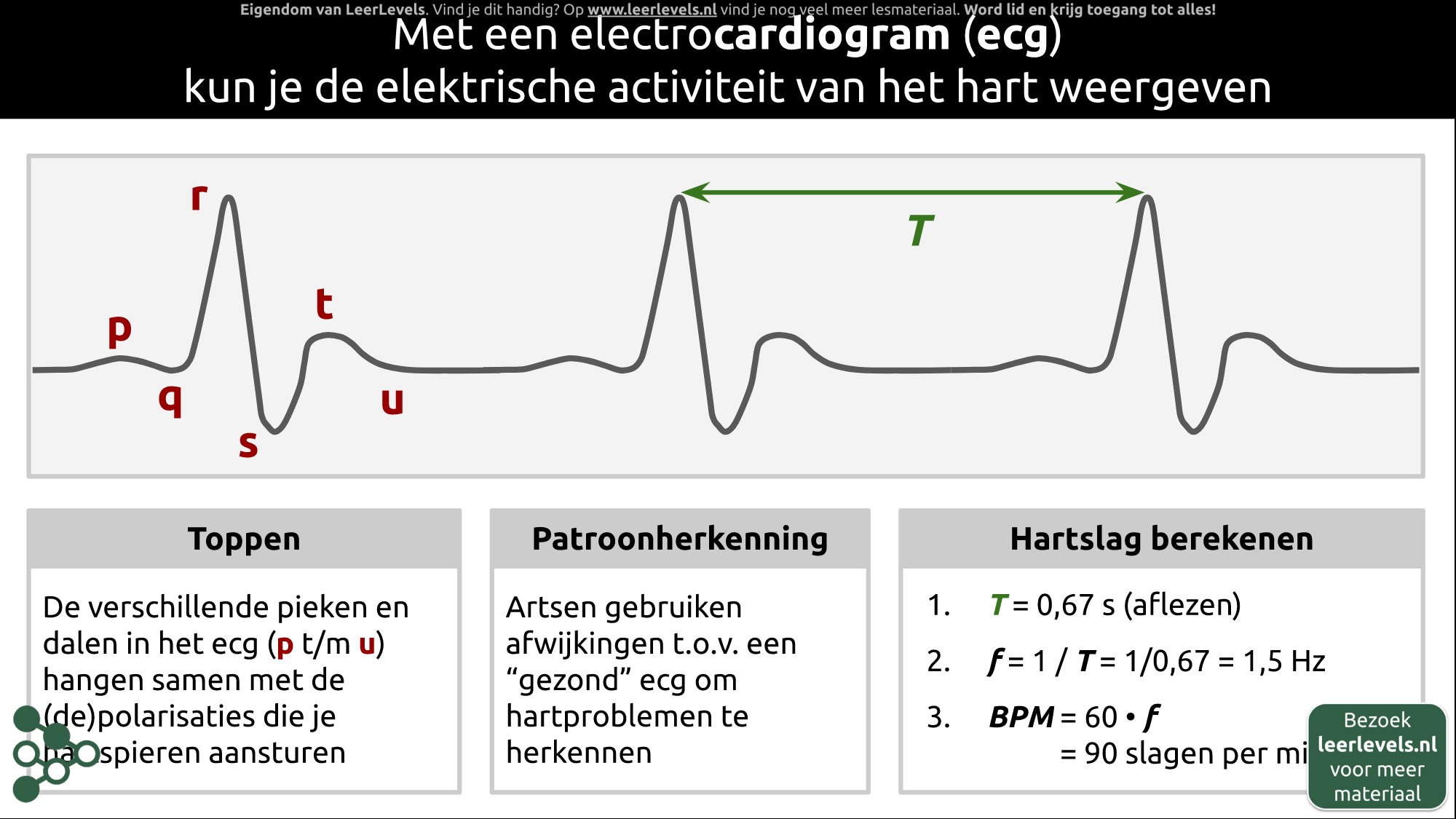 Afbeelding voor Cardiogram
