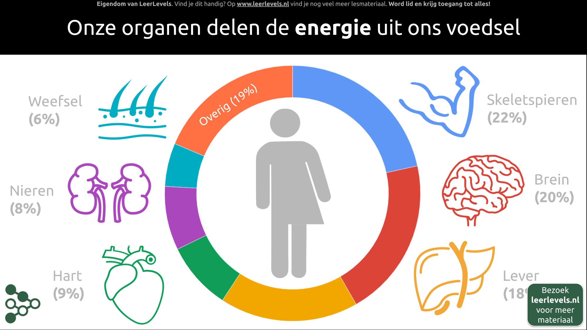 Afbeelding voor Energiegebruik organen