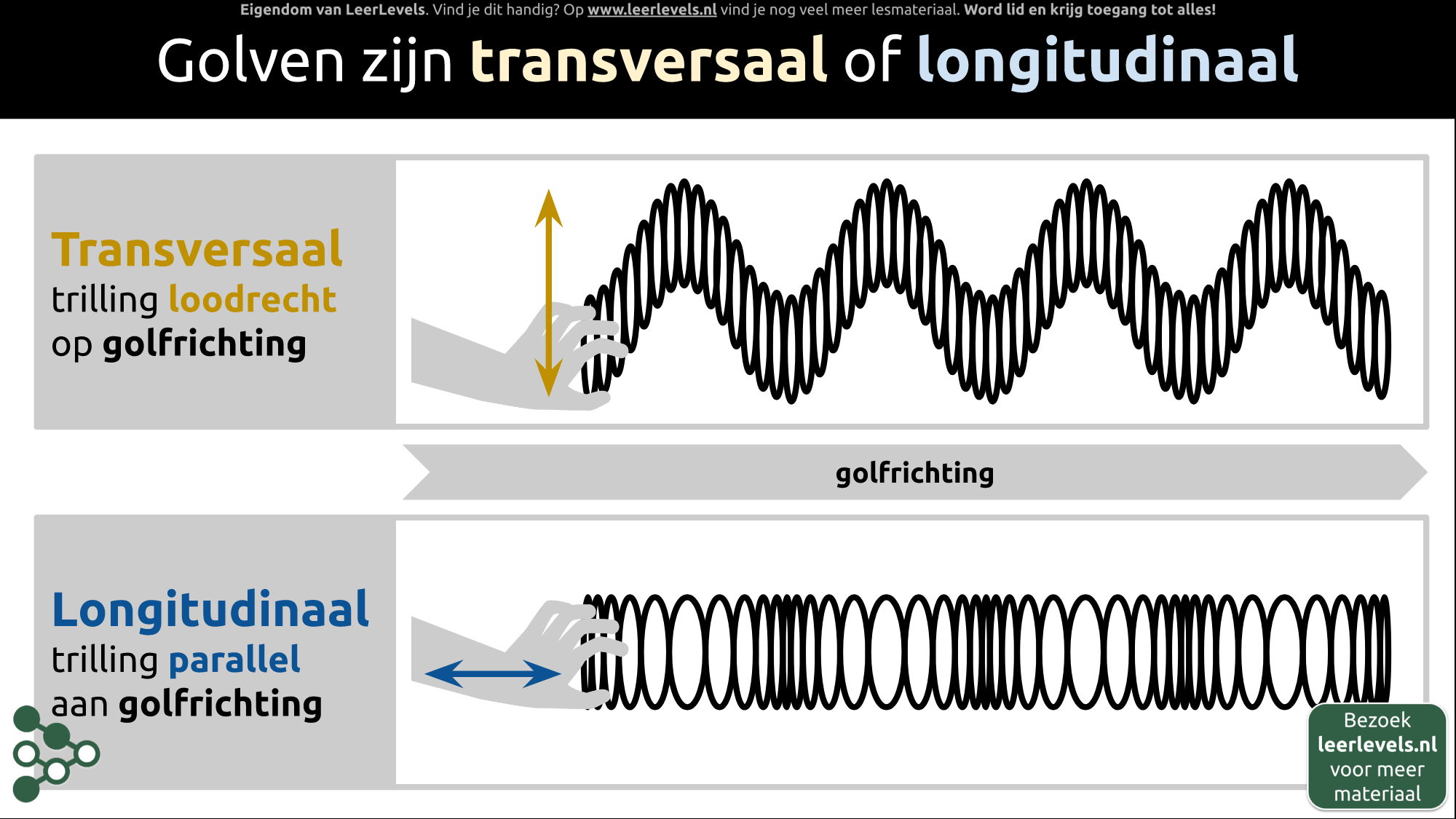 Afbeelding voor Transversale en longitudinale golven