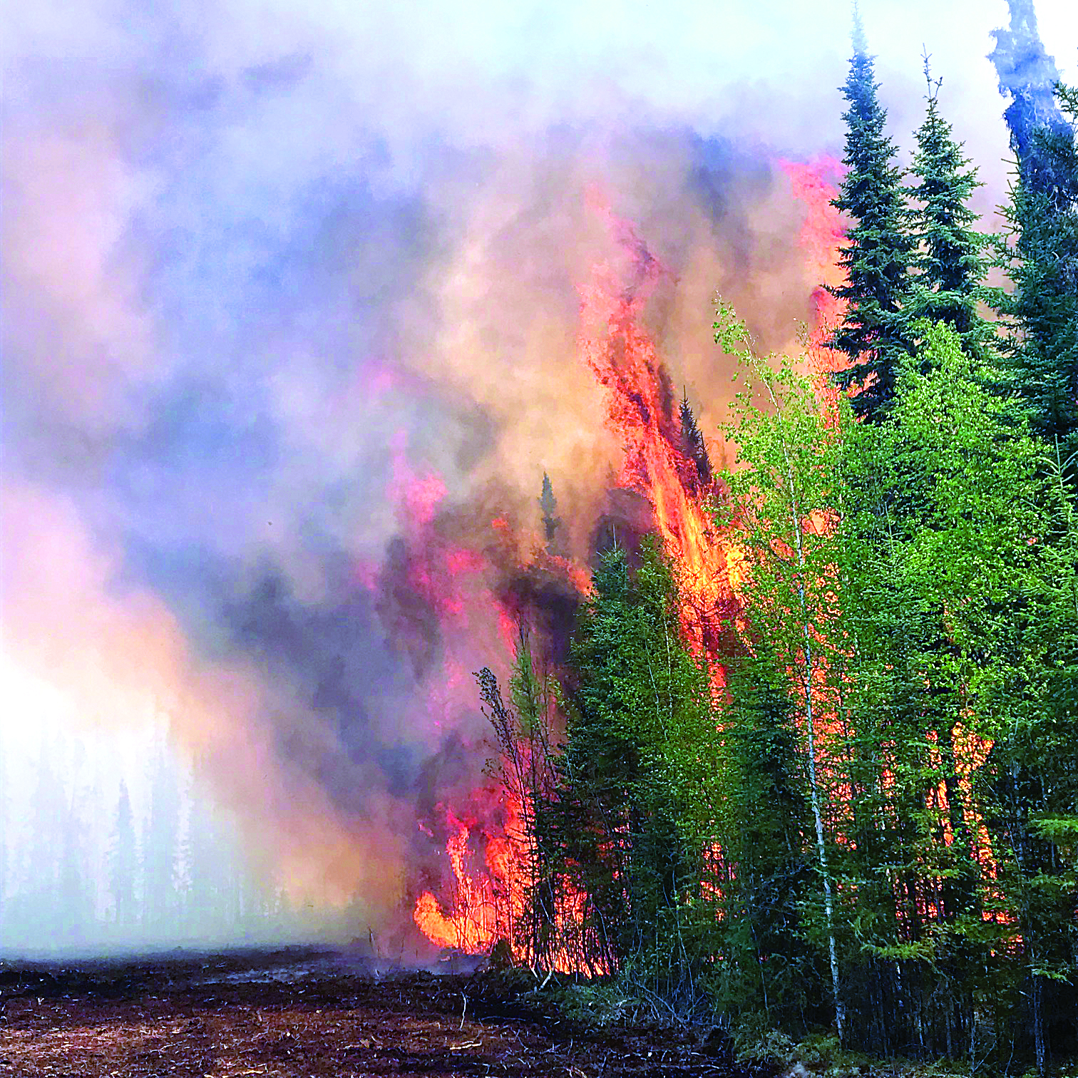 En Alberta, les feux de forêt de 2019 ont brûlé 883 414 hectares de forêts. Crédit : Alberta Wildfire