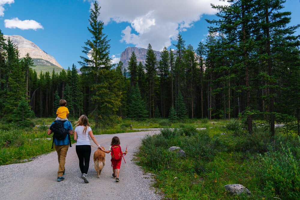 À l’exception de 2020, le jardin de Banff accueille en moyenne 3,78 millions de touristes chaque année depuis 2018. Crédit : Parcs Canada