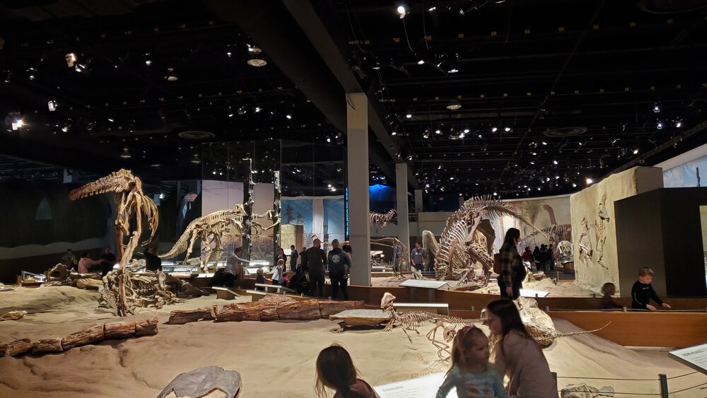 L’imposant Hall des dinosaures est considéré comme le «joyau du Musée». Crédit : Marie-Paule Berthiaume