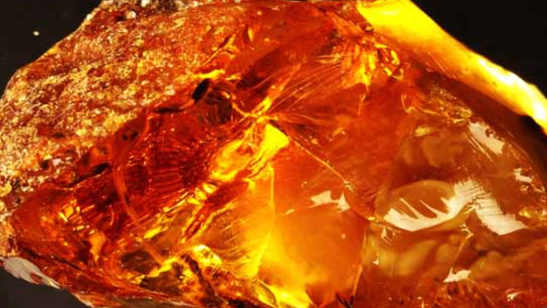 Деревинний бурштин