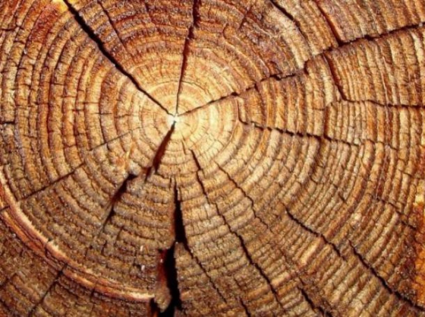 Деревні Ноти