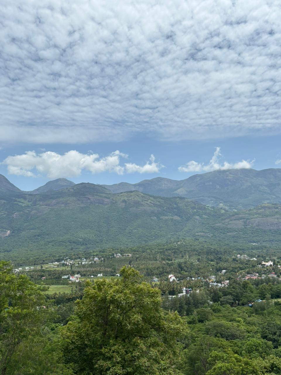 10 Things to Do in Marayoor: A Hidden Gem of Kerala