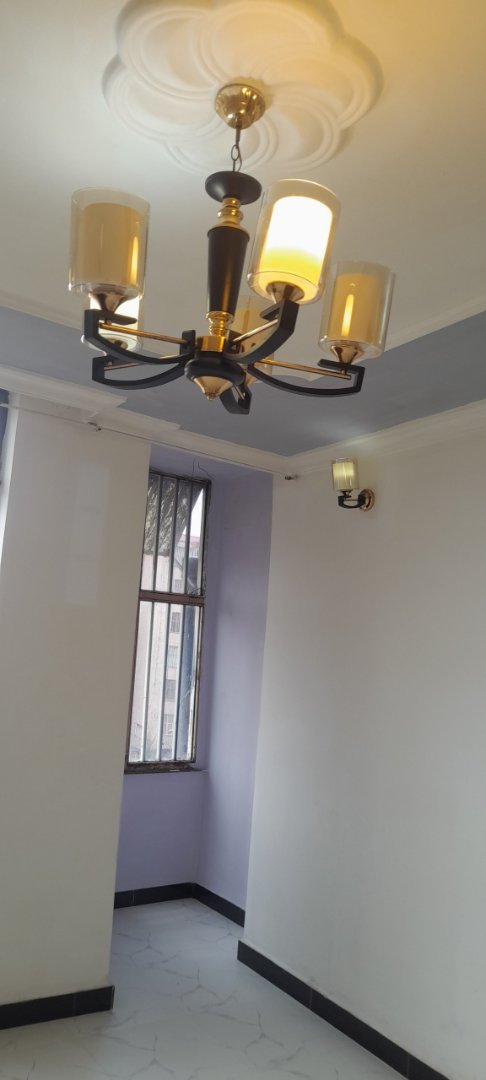 1 bedroom condominium at bole arabsa 