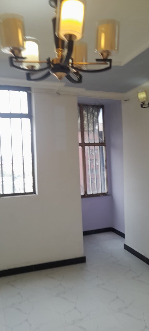 1 bedroom condominium at bole arabsa  thumbnail 3