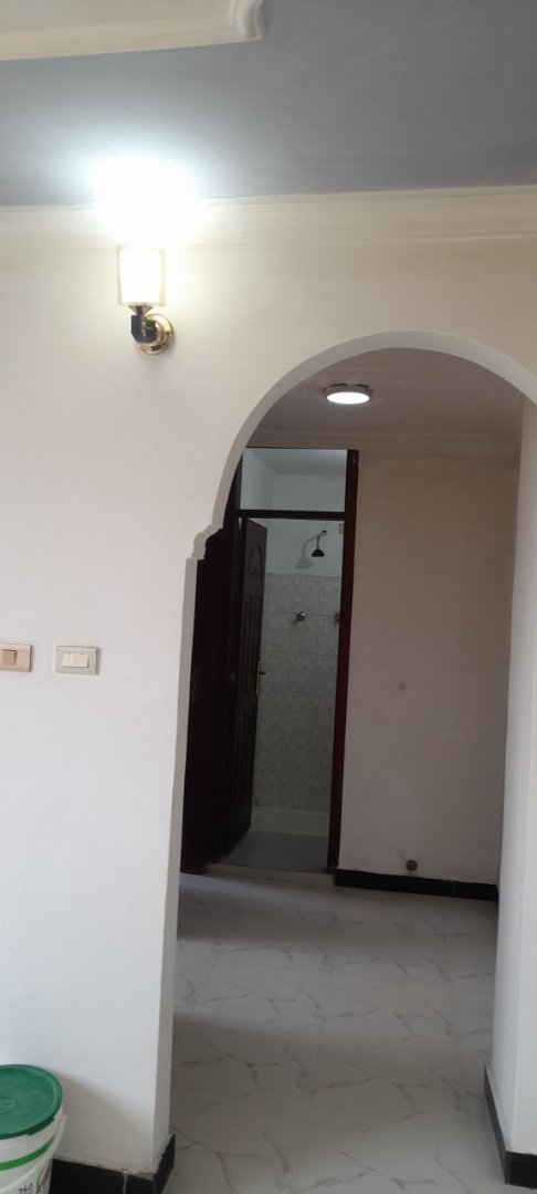 1 bedroom condominium at bole arabsa 
