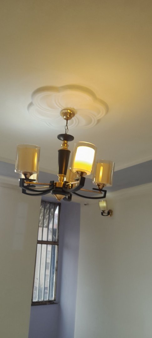 1 bedroom condominium at bole arabsa  thumbnail 6