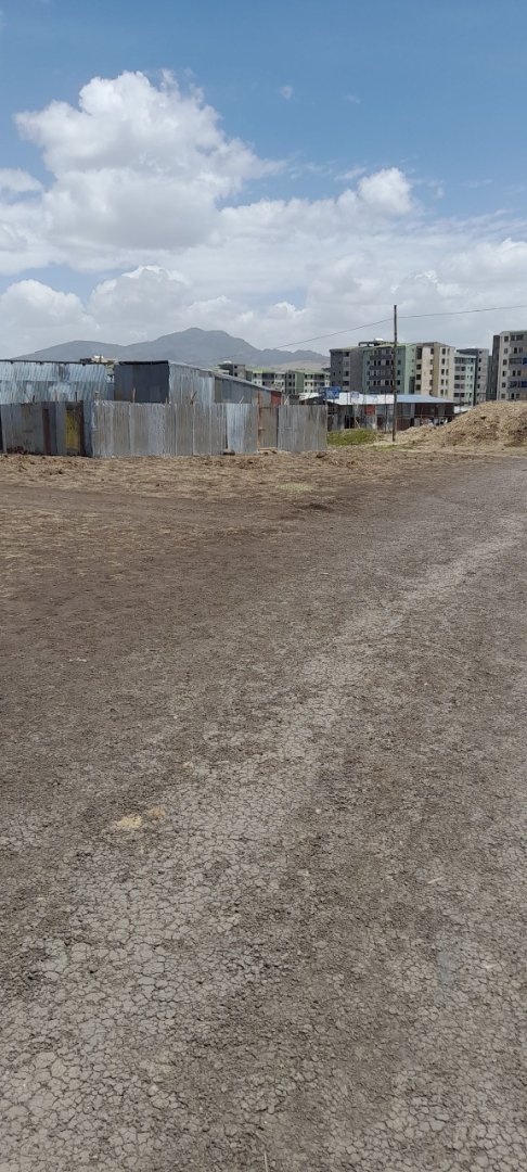 200sq land at bole arabsa  thumbnail 2