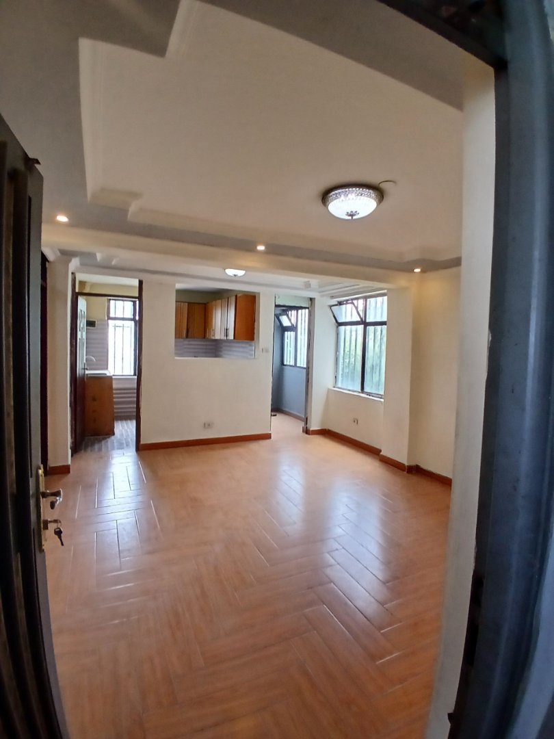 2 bedroom condominium at bole arabsa thumbnail 4
