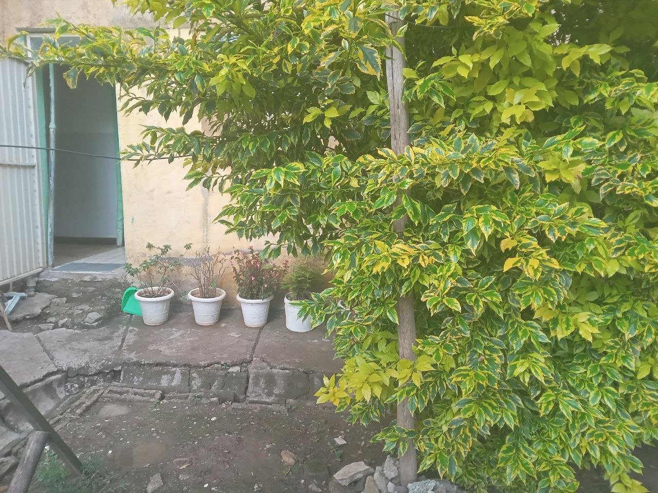 3 bedroom condominium at yeka abado thumbnail 2