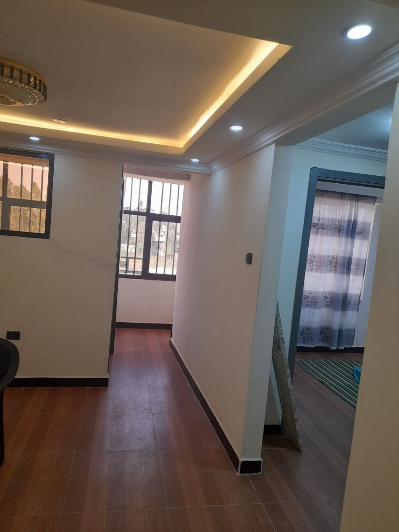 1 bedroom condominium at bole arabsa
