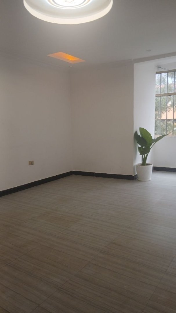 3 bedroom condominium at bole arabsa  thumbnail 4