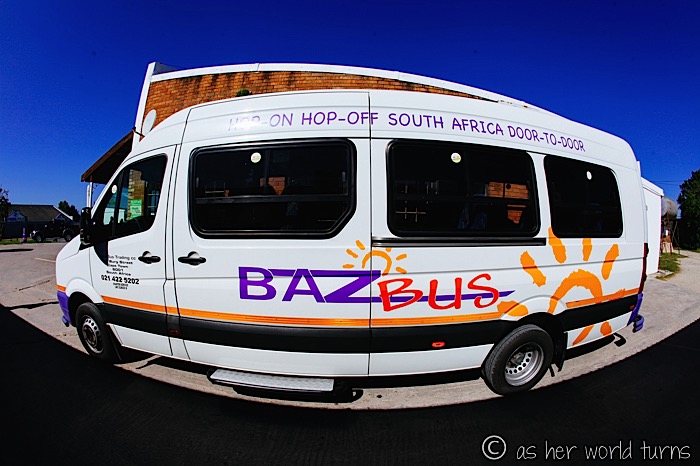 Baz Bus
