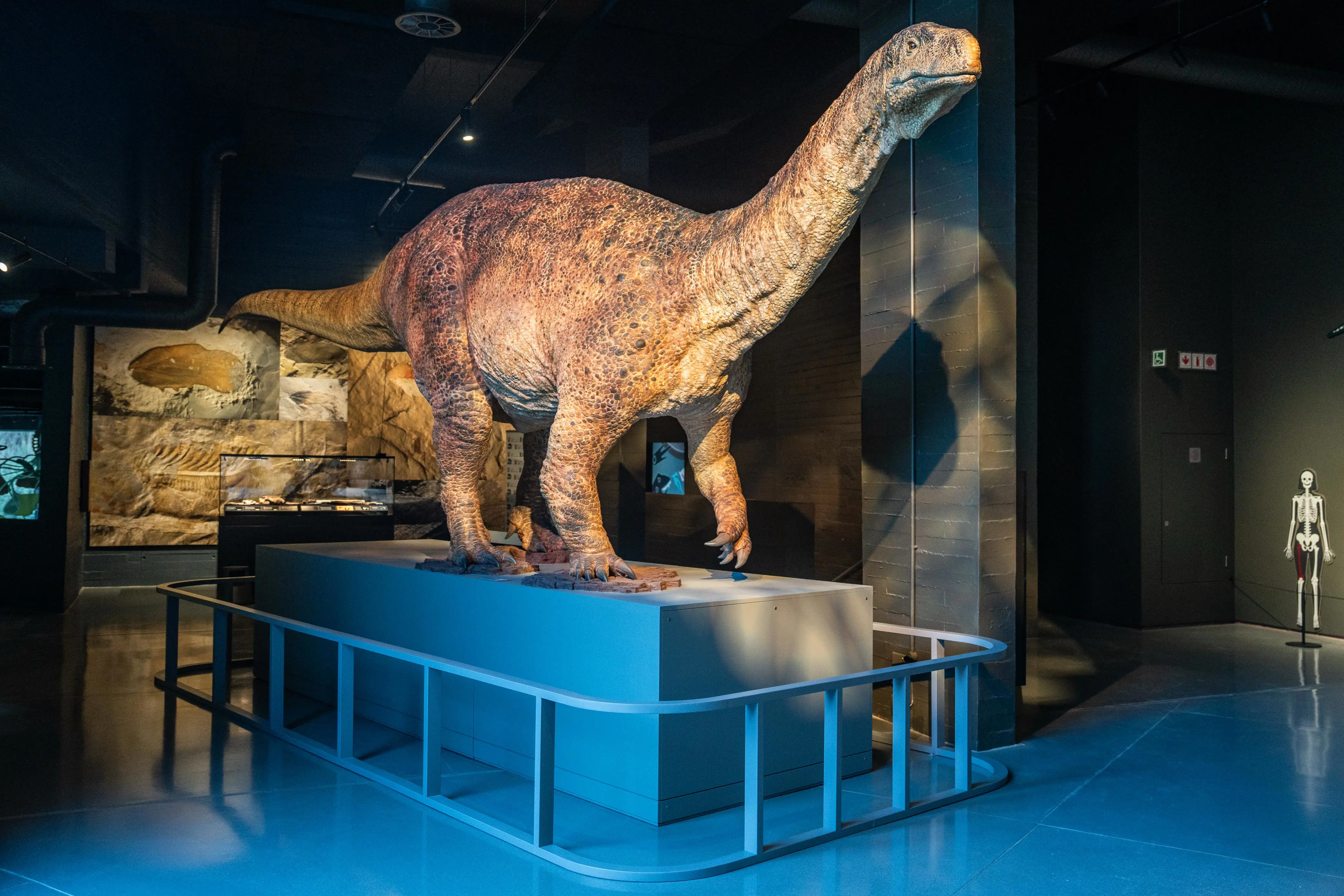 Kgodumodumo Dinosaur Interpretation Centre