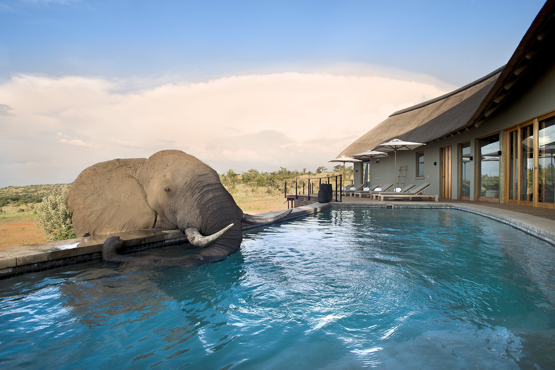 Phinda Private Game Reserve